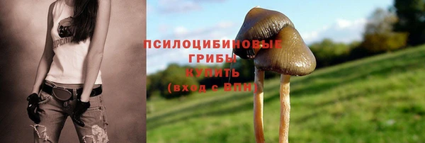 винт Аркадак
