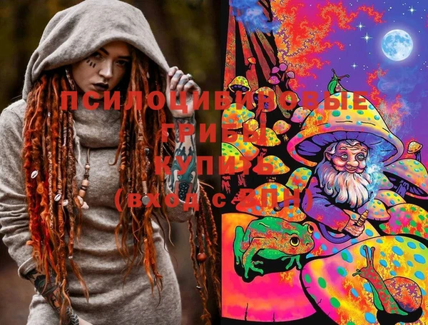 хмурый Балахна