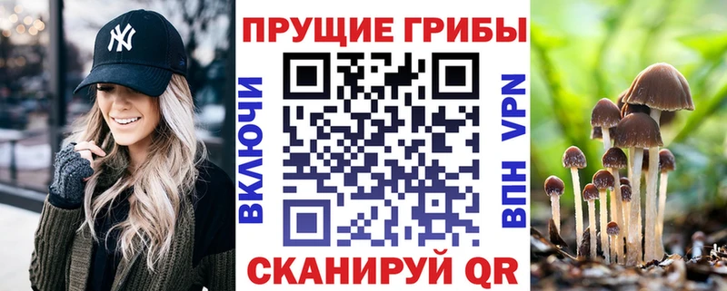 Псилоцибиновые грибы прущие грибы  Мосальск 
